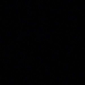 Meet your Posher, Peyton